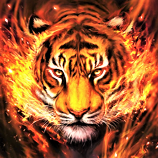Tiger wallpaper hd k