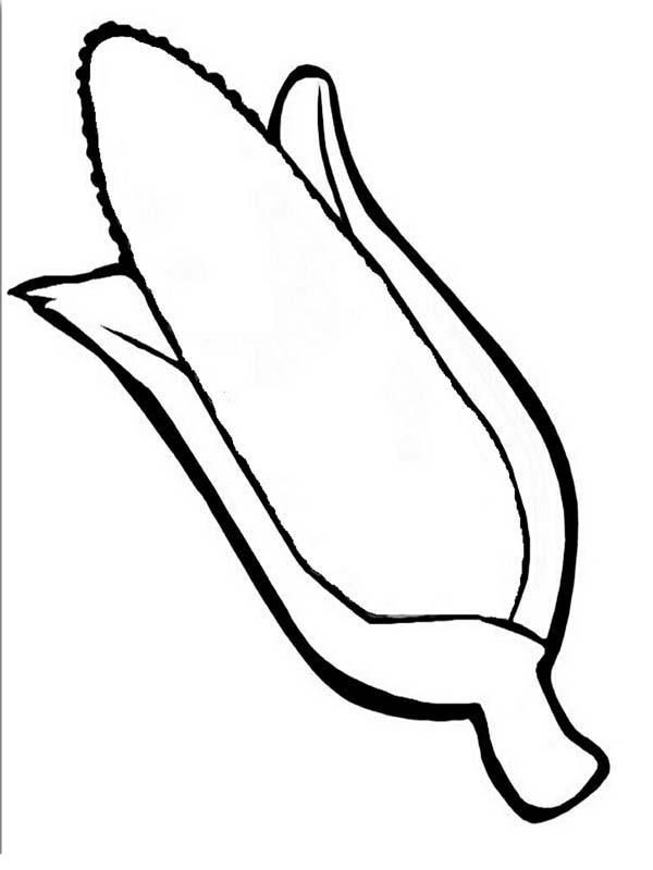 Corn cob outline coloring page corn on cob indian corn coloring pages