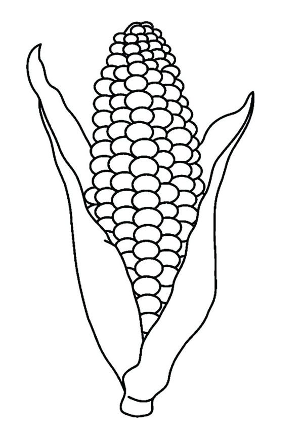 Colorful corn cob coloring page
