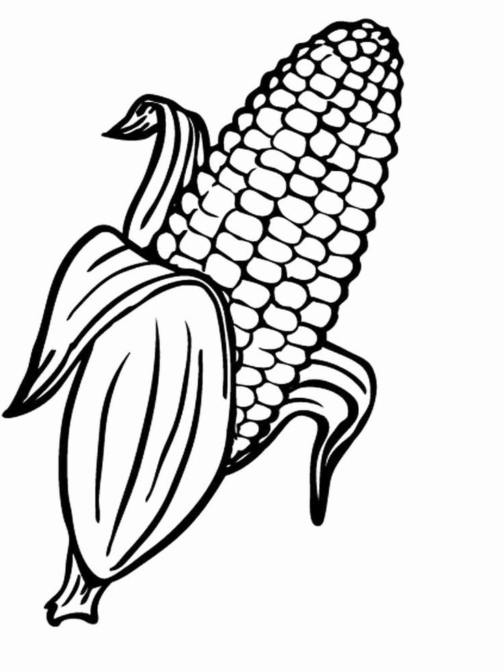 Corn on the cob coloring page elegant corn drawing at getdrawings candy coloring pages vegetable coloring pages food coloring pages