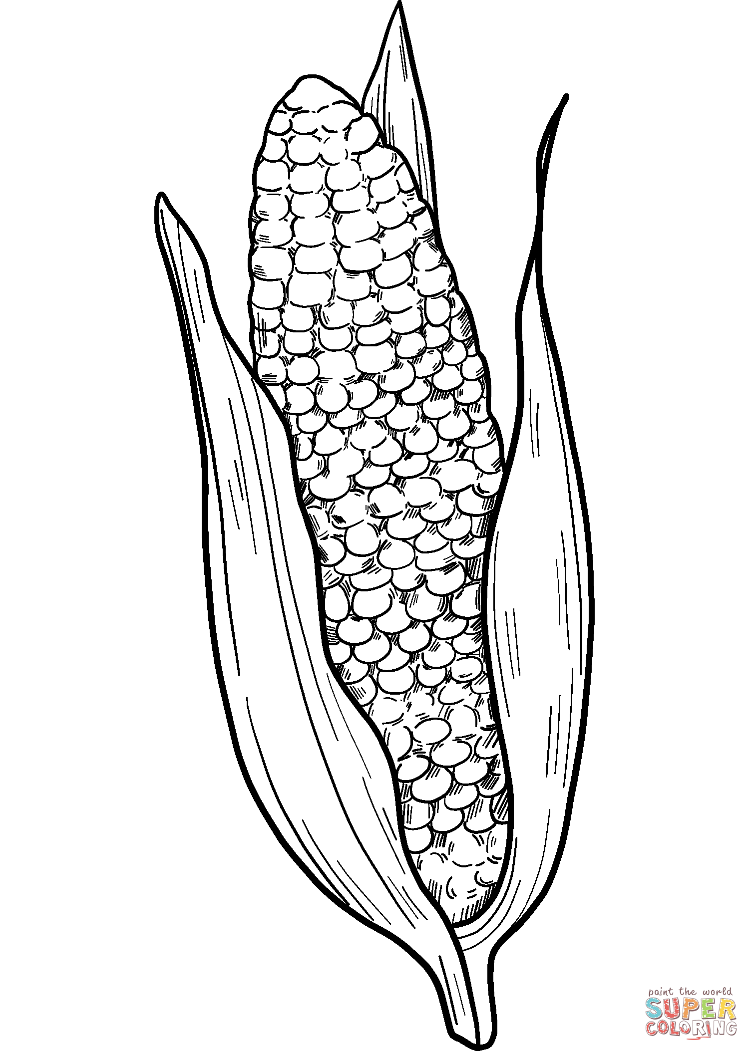 Corn cob coloring page free printable coloring pages