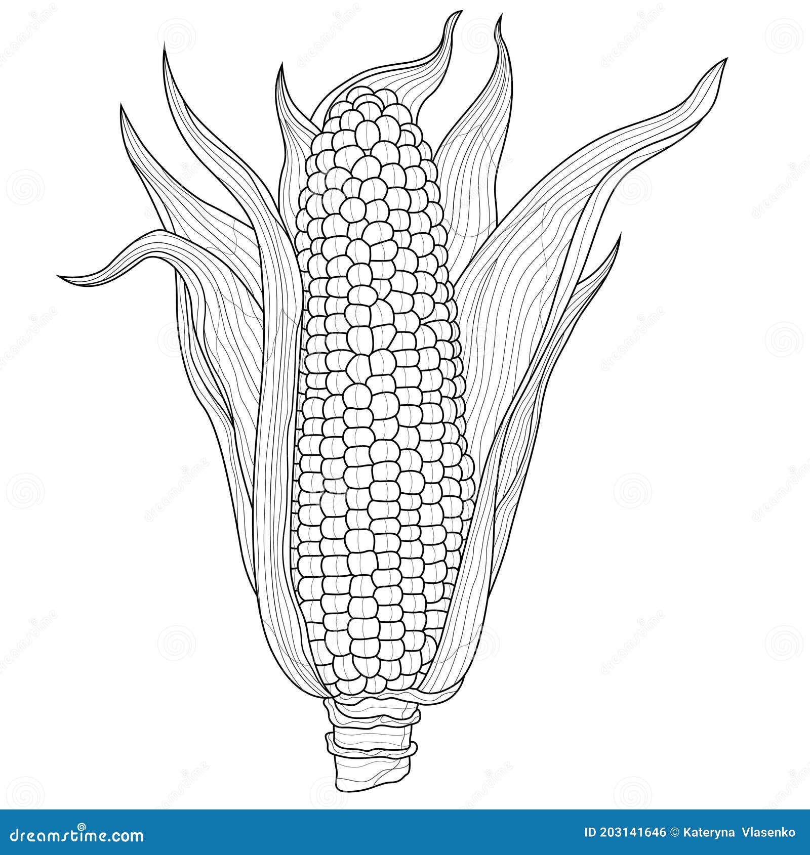 Corn colouring stock illustrations â corn colouring stock illustrations vectors clipart
