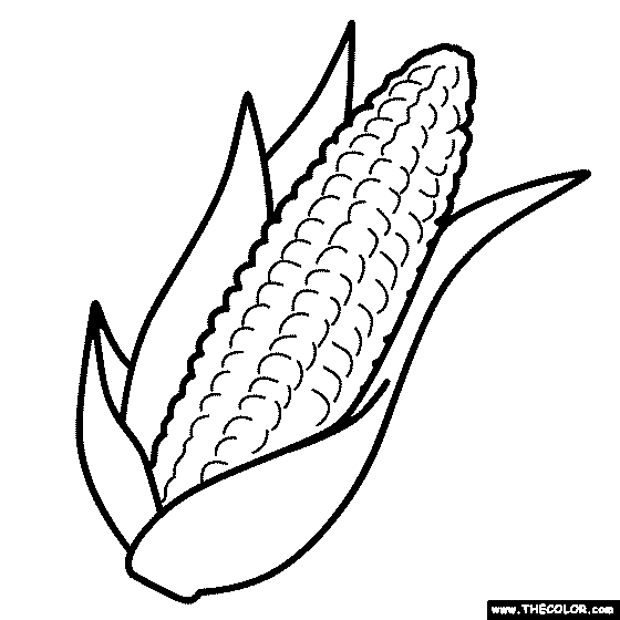 Corn on the cob coloring page