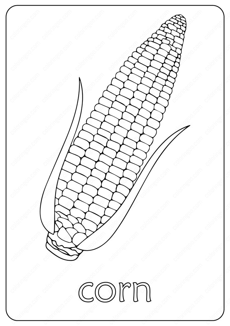 Free printable corn maize coloring pages corn drawing coloring pages corn maize