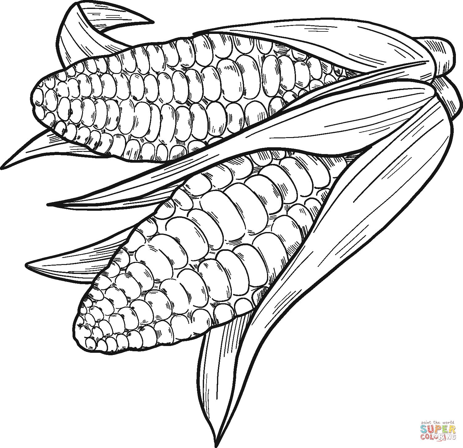 Corn cobs coloring page free printable coloring pages