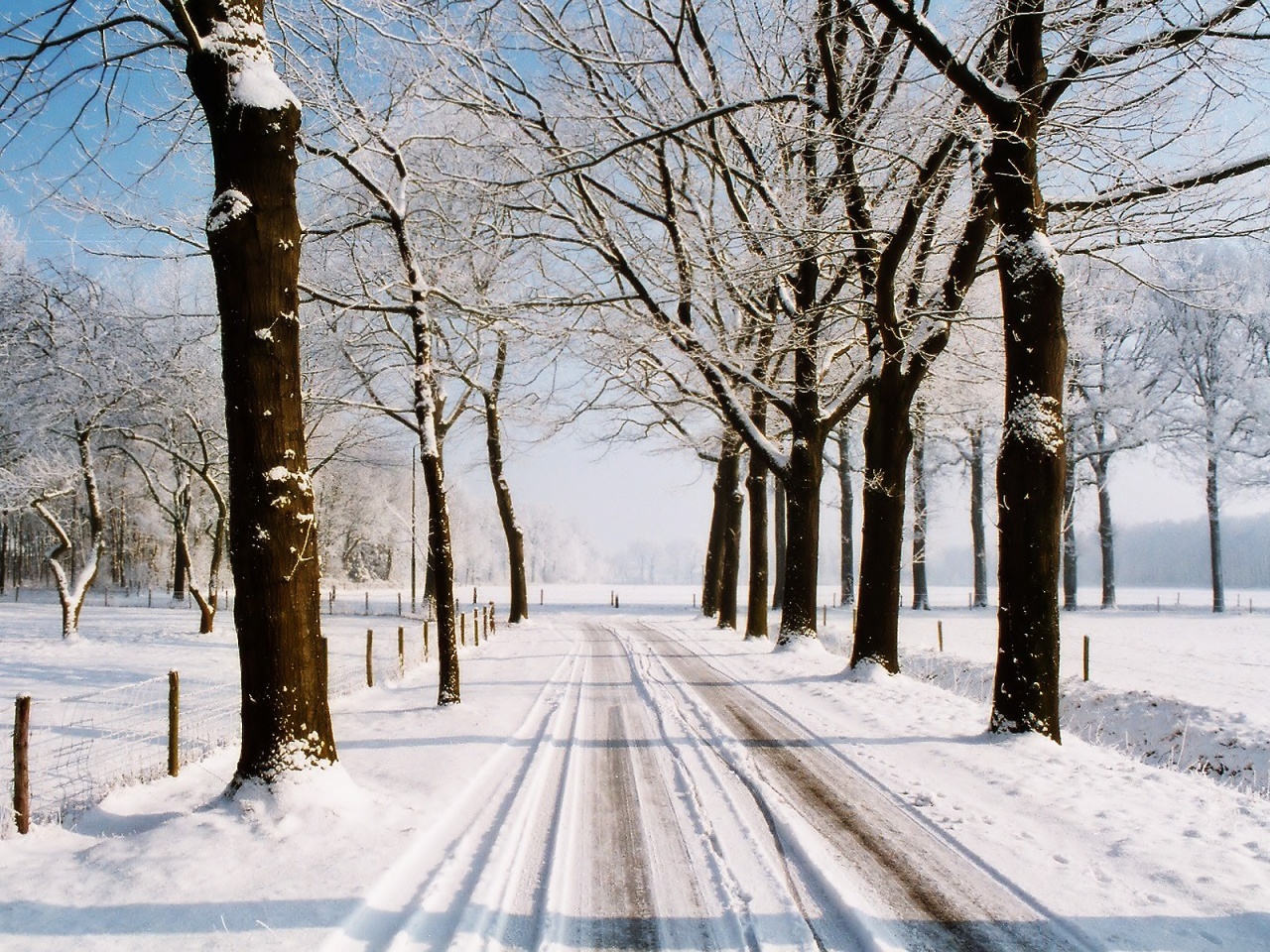 Country winter wallpaper