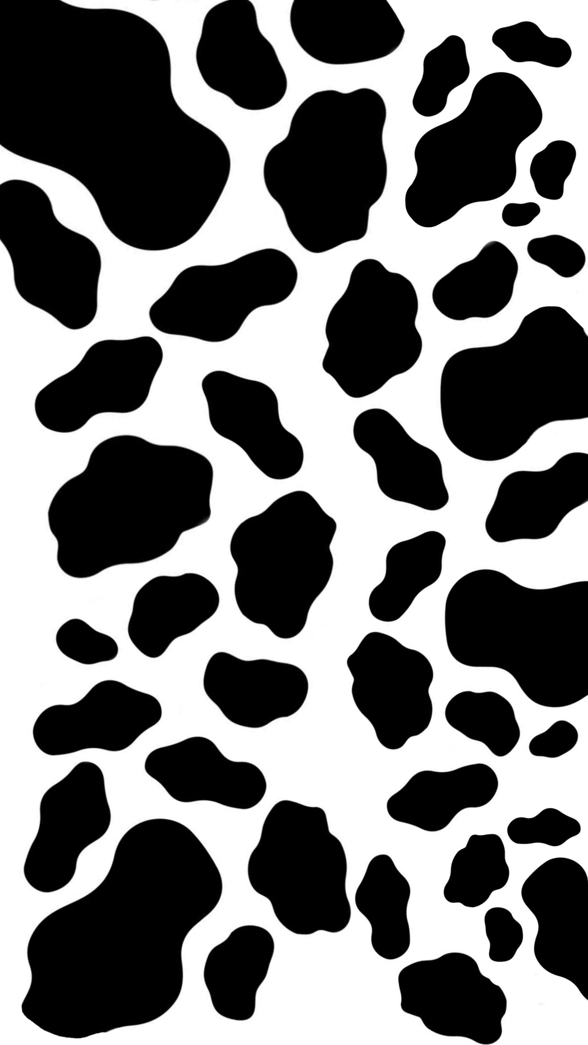 Cow print cow print wallpaper cow wallpaper print wallpaper