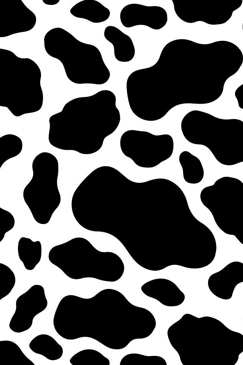 Cow print wallpaper for mobile phone tablet desktop puter and other devices hd and k wallpapers cow wallpaper cow print wallpaper cow print