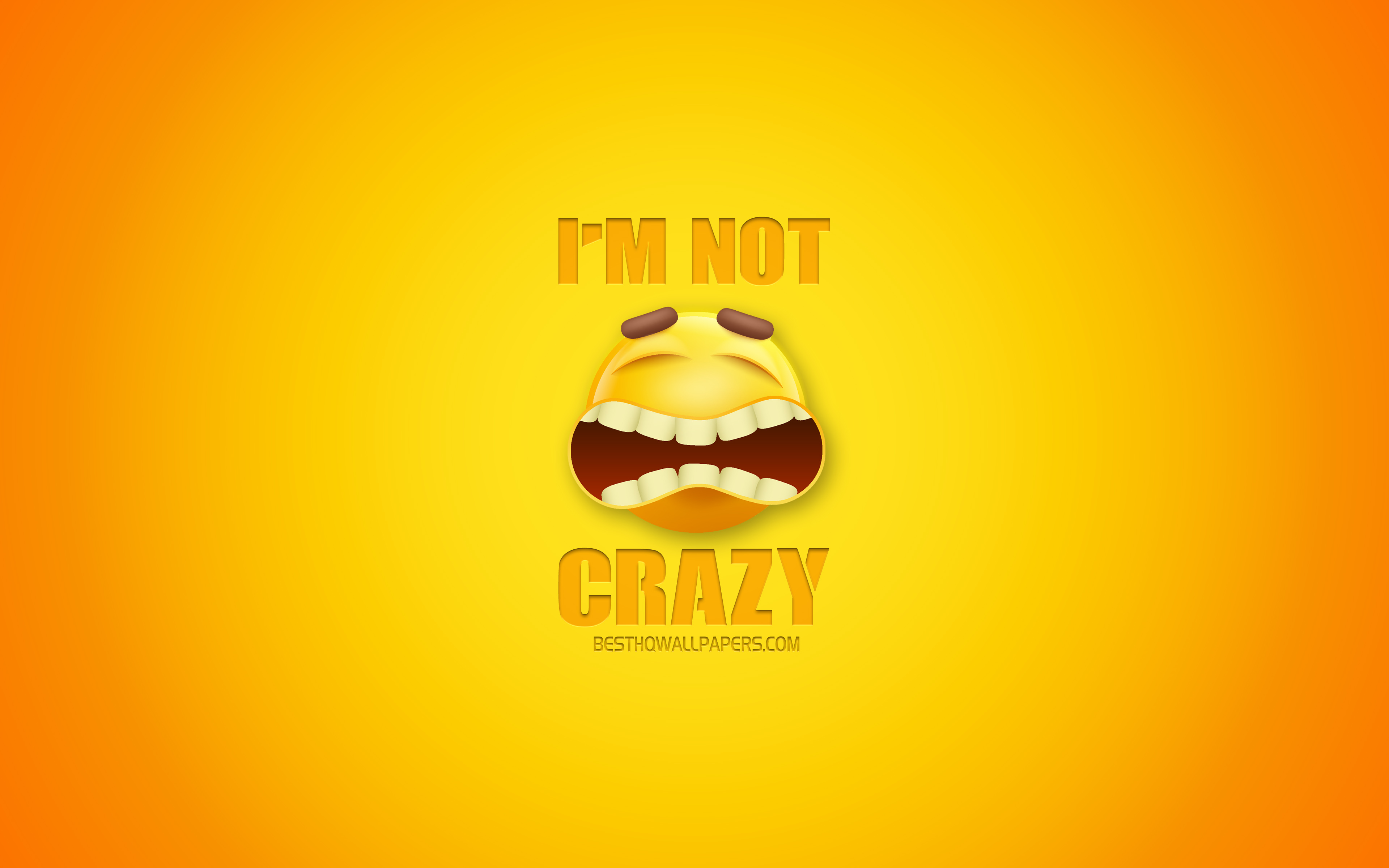 Download wallpapers i am not crazy funny art crazy concept yellow background creative art for desktop with resolution x high quality hd pictures wallpapers