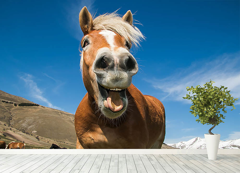 Funny shot of horse with crazy expression wall mural wallpaper canvas art rocks