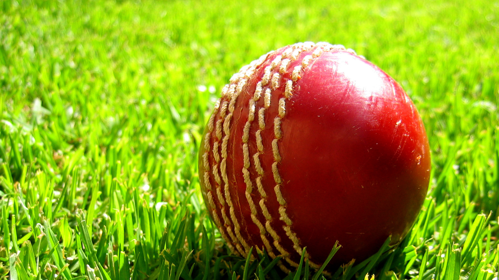 Download cricket s for ile phone free cricket hd pictures
