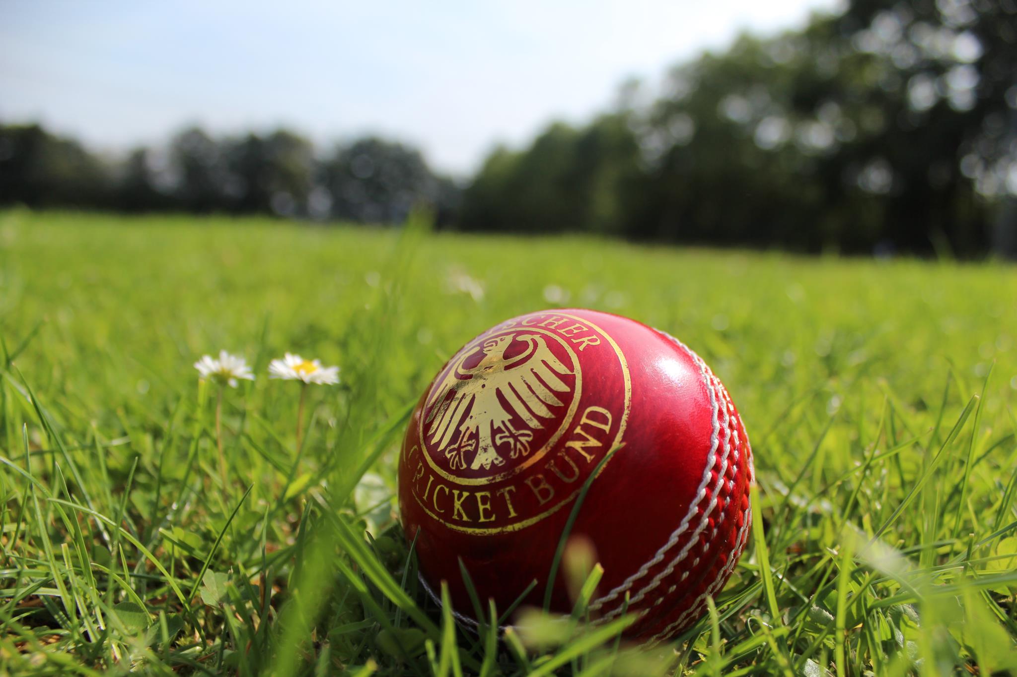 Cricket ball wallpapers for mobile free download