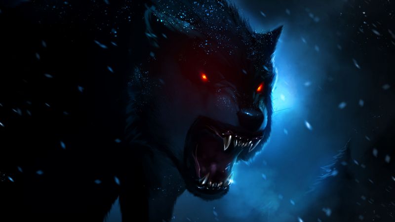 Black wolf wallpaper k red eyes snow fall animals