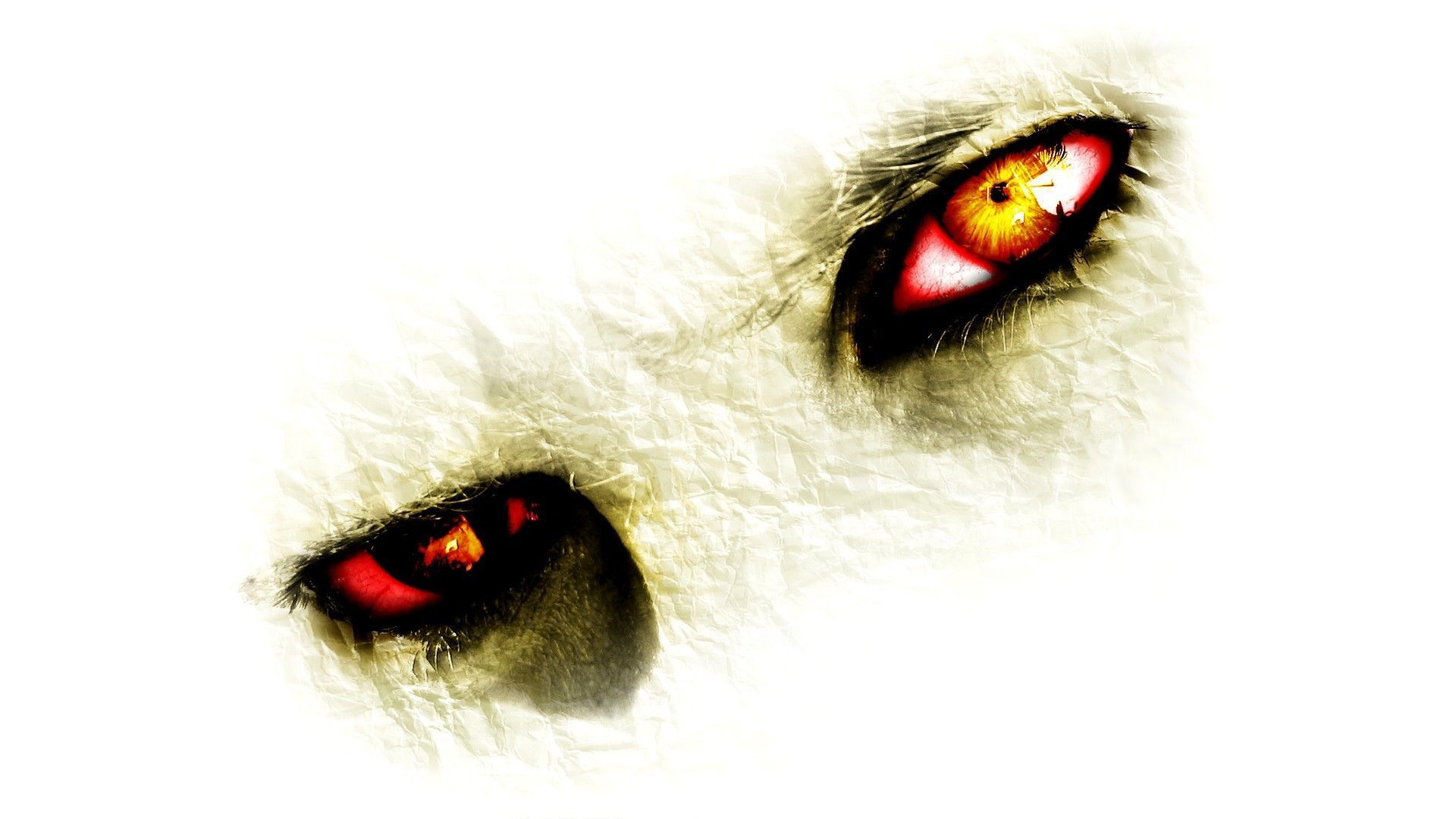 Most dangerous eyes wallpaper you will ever see