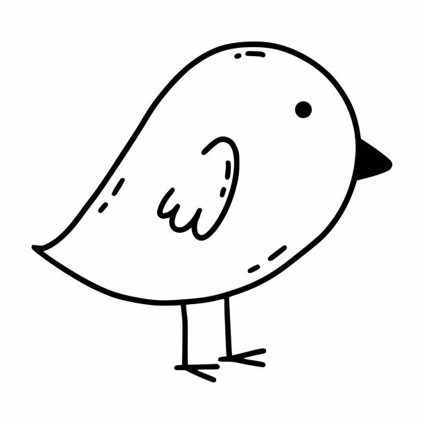 Cuckoo birds stock illustrations royalty
