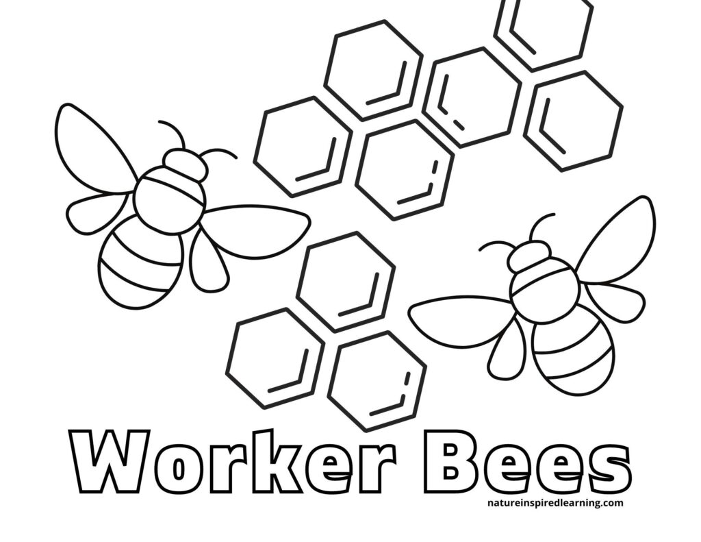 Busy bee coloring pages for kids