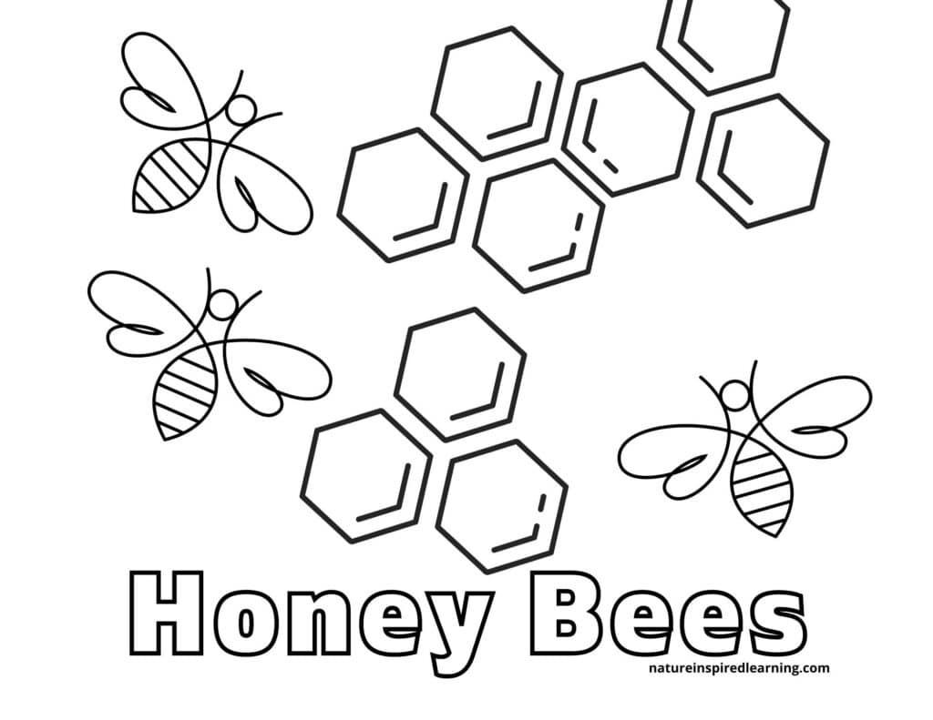 Busy bee coloring pages for kids