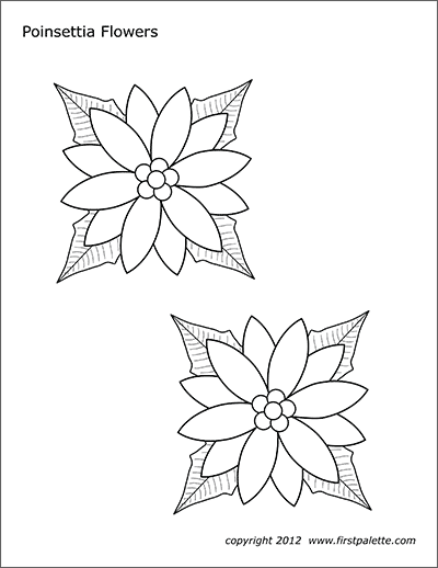 Poinsettia flowers free printable templates coloring pages