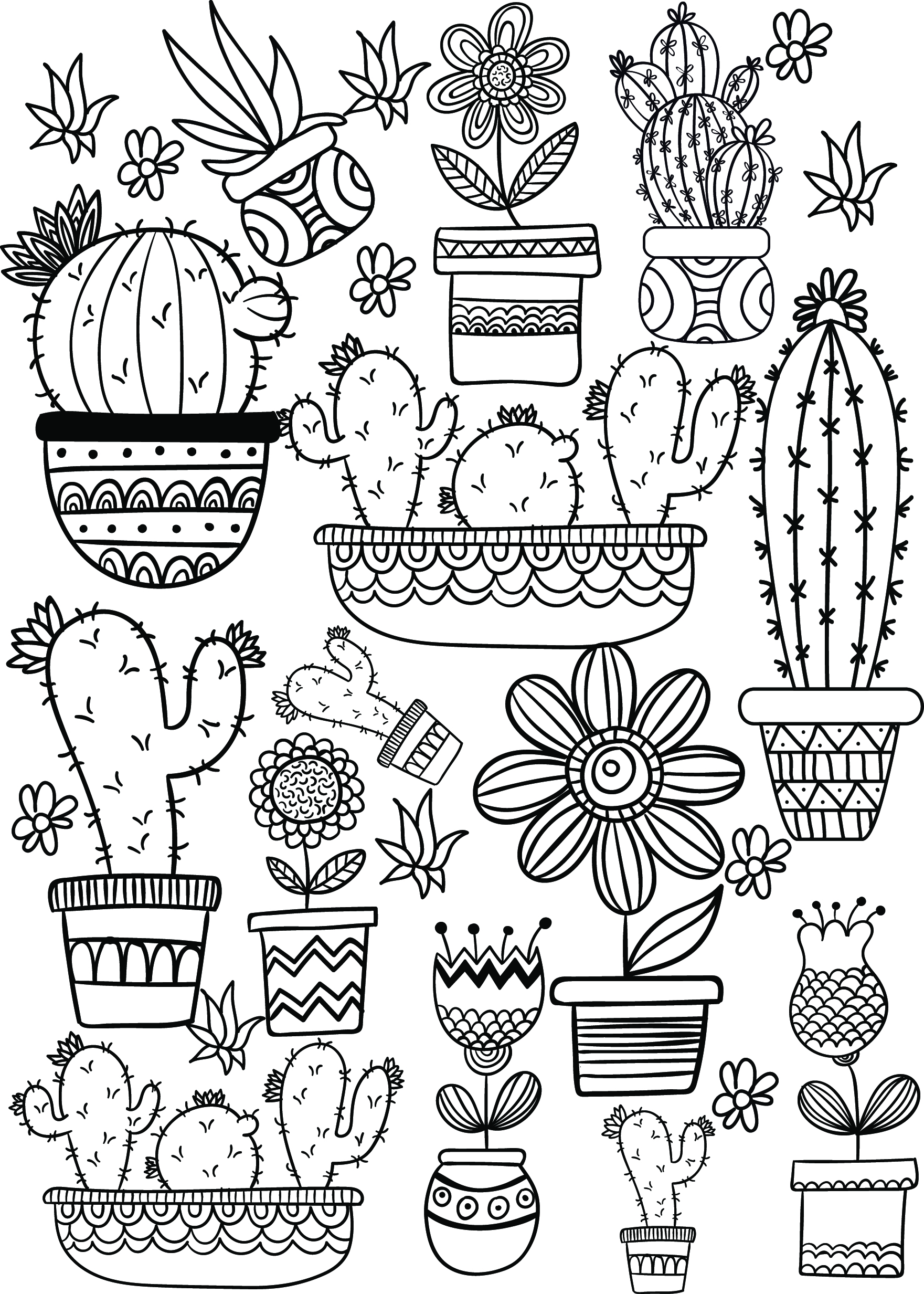 Cactus and succulent printable adult coloring pages