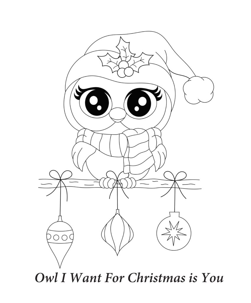 Owl i want for christmas