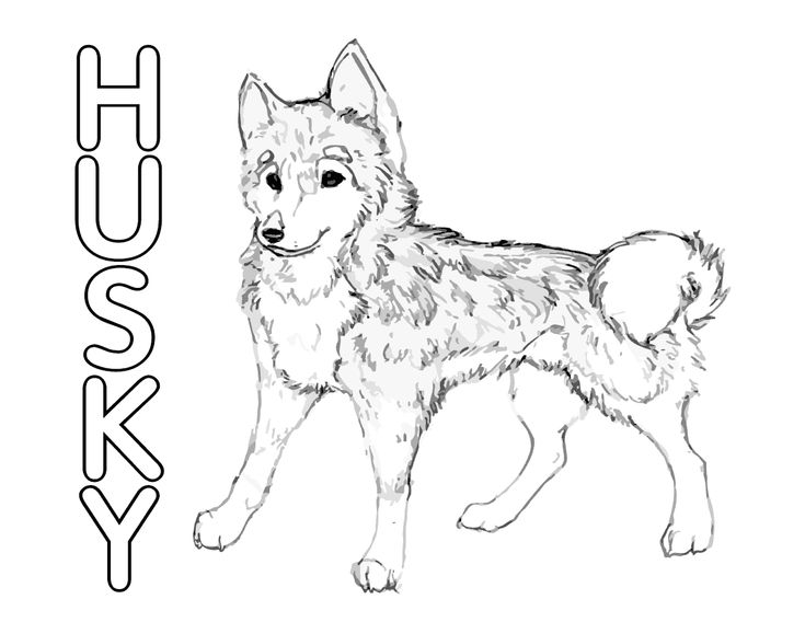 Cute husky puppies coloring pages puppy coloring pages coloring pages husky colors