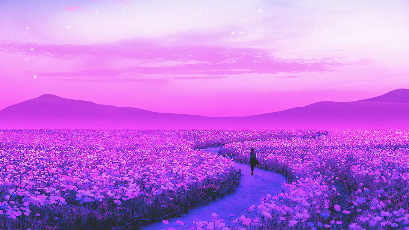 X day dreaming lavender field k x resolution hd k wallpapers images backgrounds photos and pictures