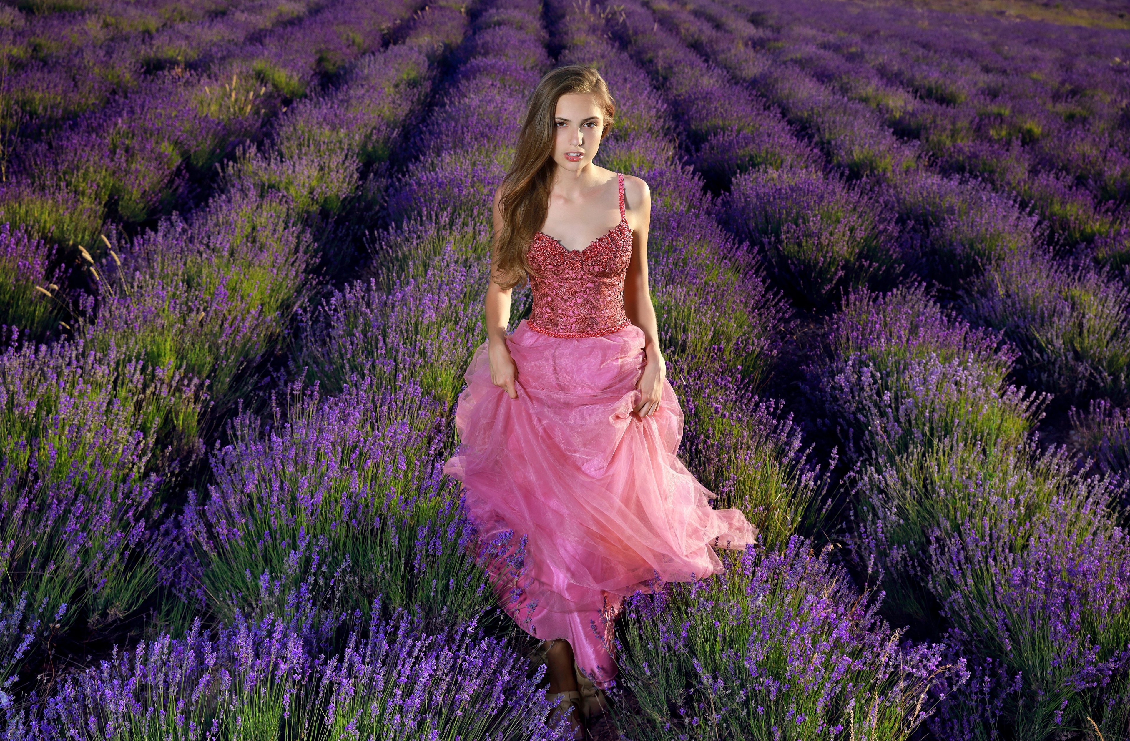 Lavender field girl dress cute k hd girls k wallpapers images backgrounds photos and pictures