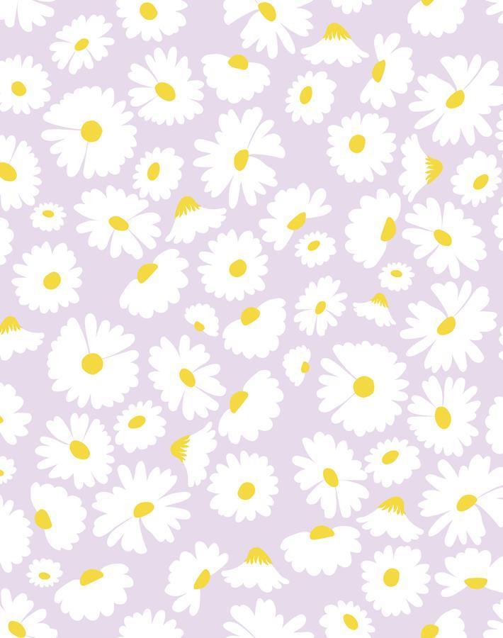 Pop daisy wallpaper by