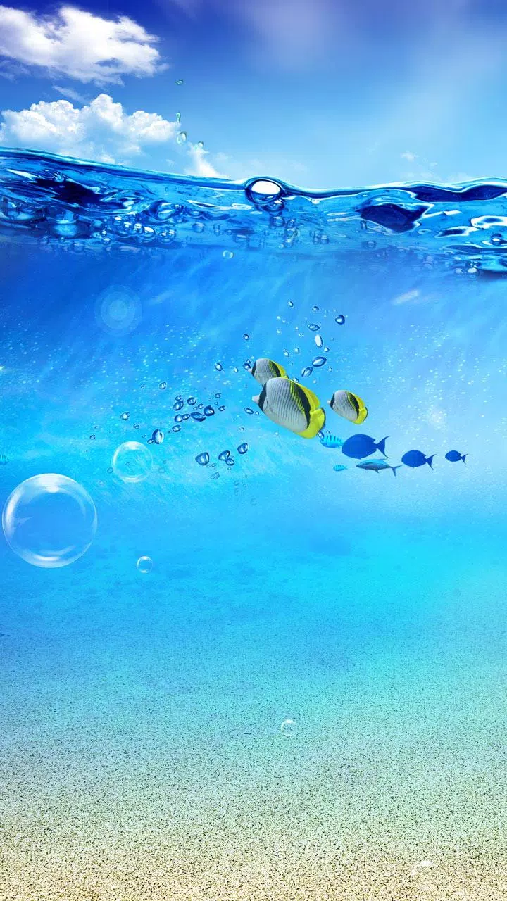 Живое море на телефон. Океан под водой. Лето вода. Море вертикально. Фон на телефон море.