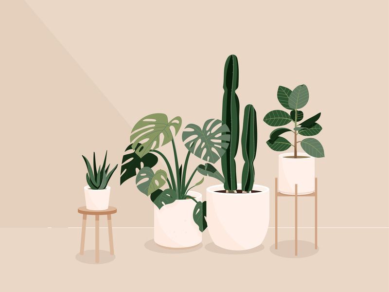 Plants desktop wallpaper art plant drawing plant illustration