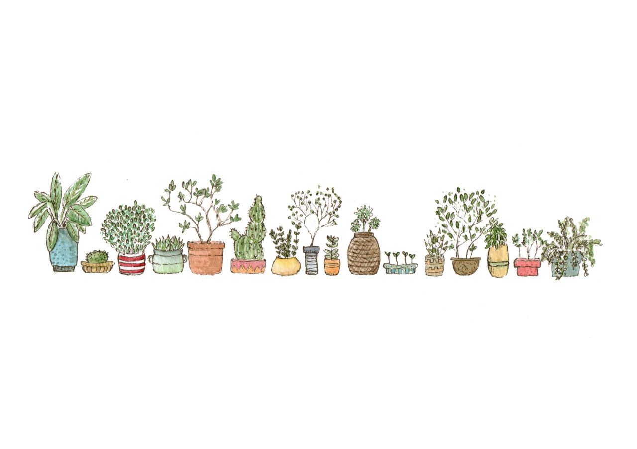 Slightly unrelated a variety of plants ive desktop wallpaper art wallpaper notebook cute laptop wallpaper