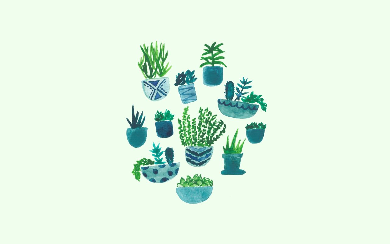 Cute aesthetic plant s on