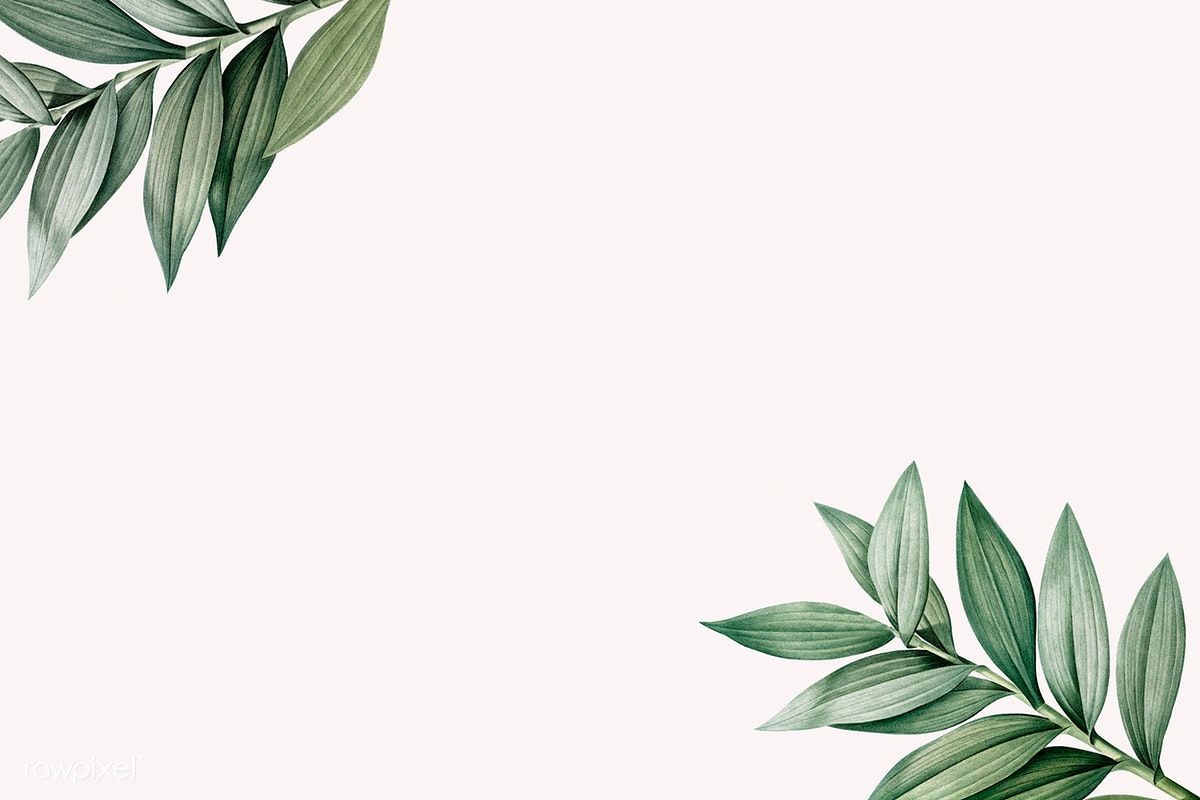 Tropical botanic leaves background illustration premium image by rawpixel aum kappy kappy â desktop hintergrund hintergrund desktop hintergrund iphone