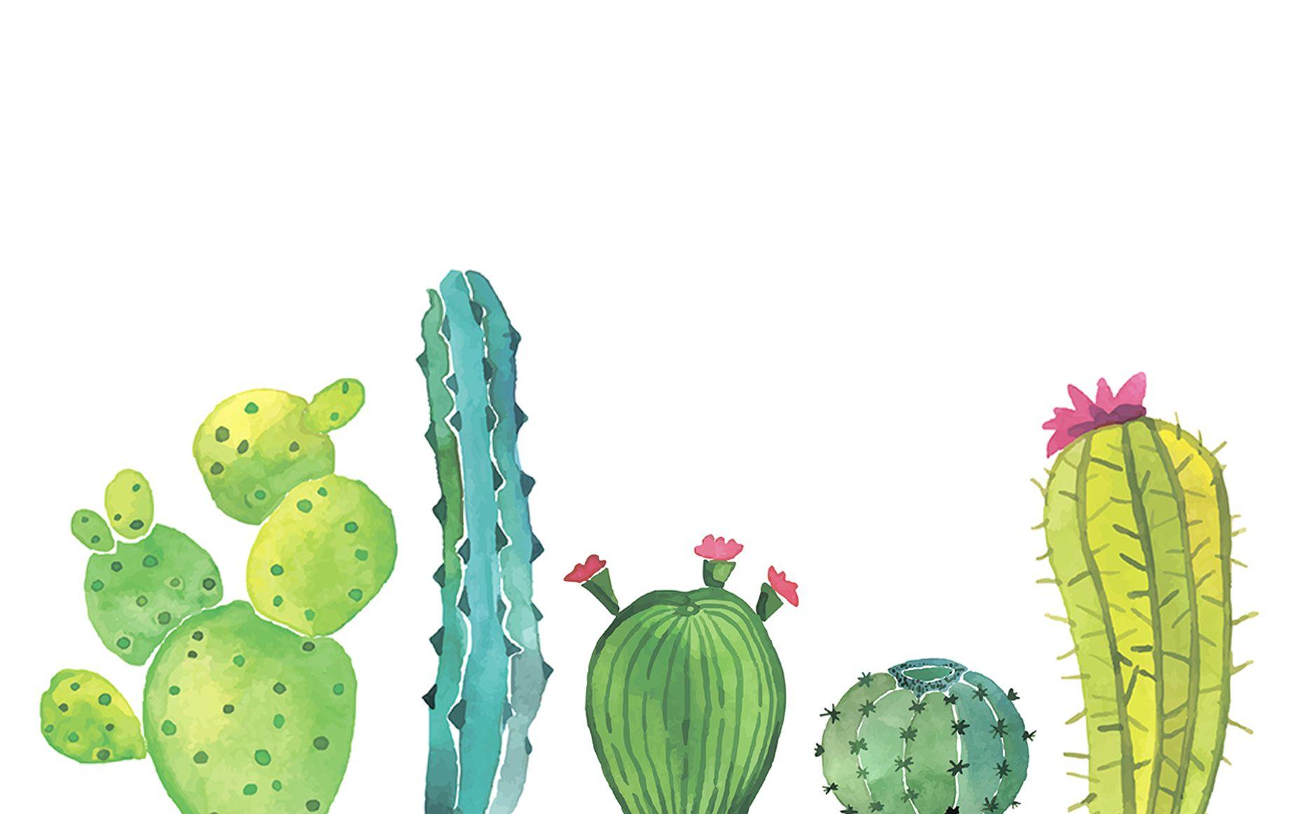 Cacti wallpapers