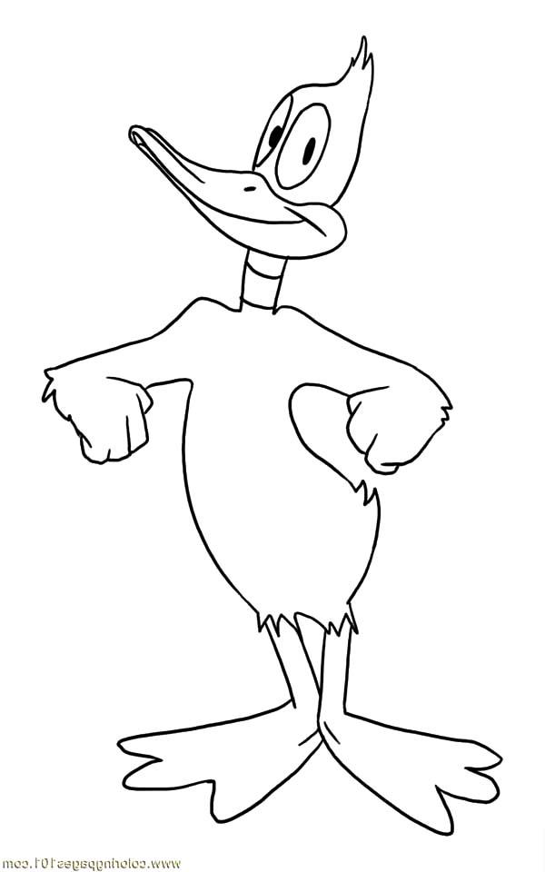 Daffy duck outline coloring pages
