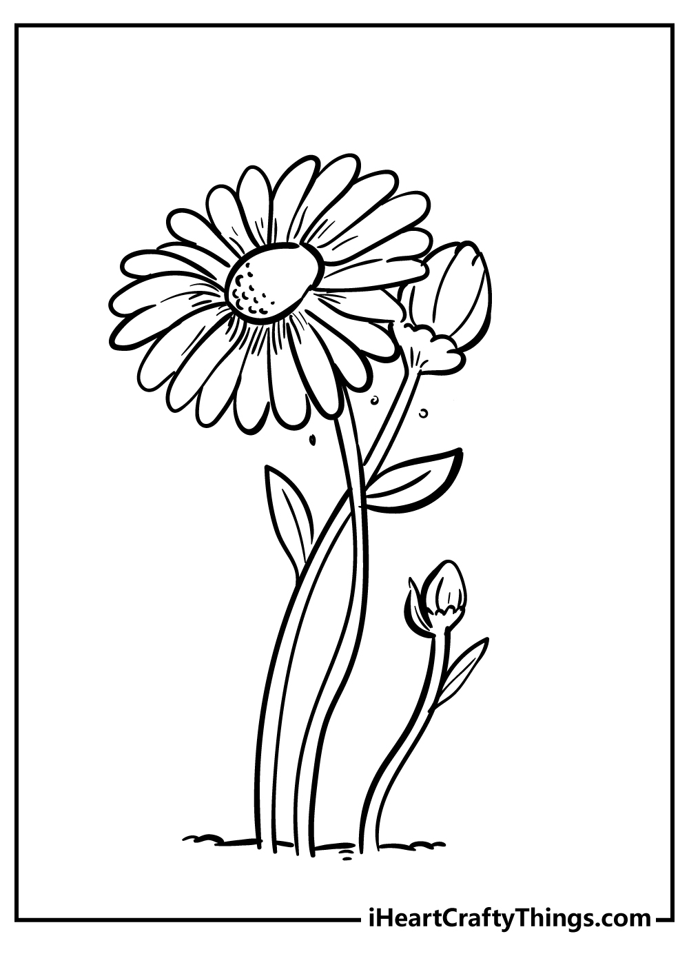 Daisy coloring pages free printables