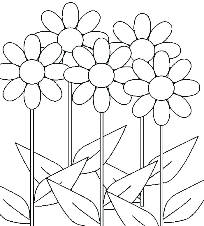 Daisy coloring pages