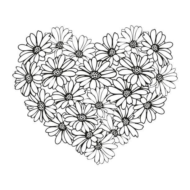Daisy coloring pages stock illustrations royalty