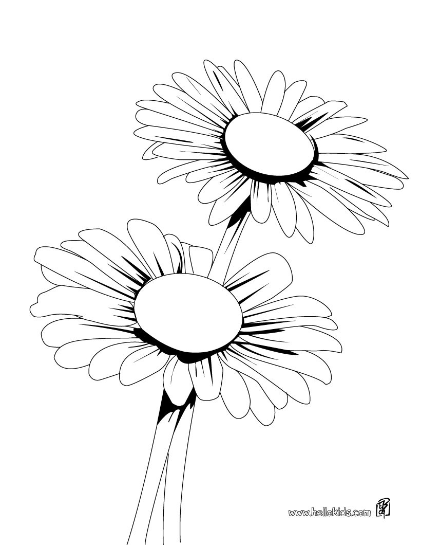 Daisy bunch coloring pages