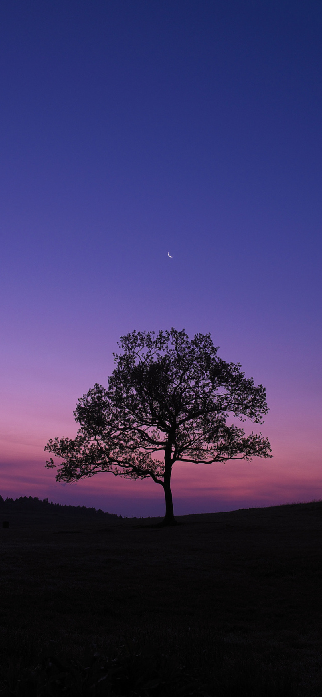 X dark sky tree purple sky nature iphone xsiphone iphone x hd k wallpapers images backgrounds photos and pictures