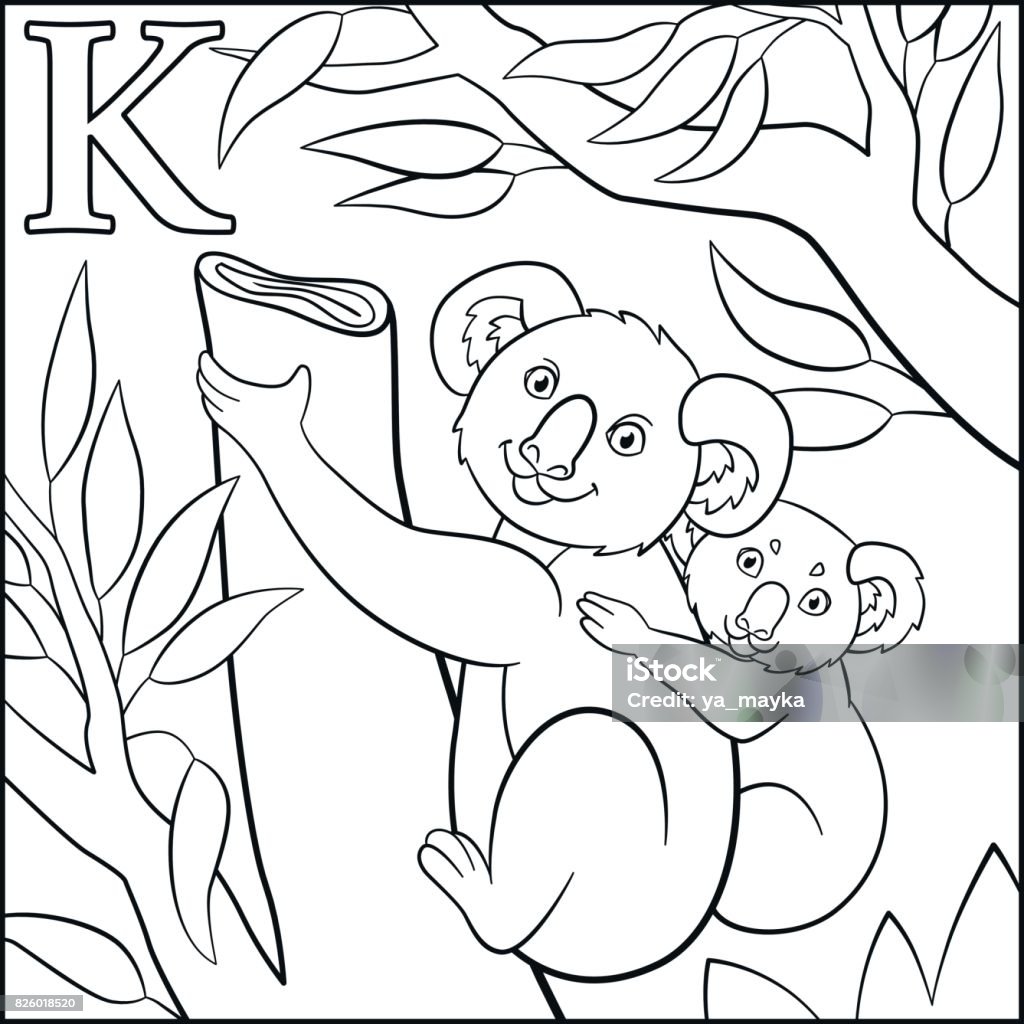 Vetores de pãgina para colorir alfabeto de animais dos desenhos animados k ã para o coala e mais imagens de animal