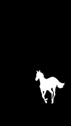 Wallpapers white pony and ohms rdeftones