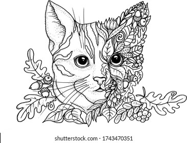 Thousand cat adult coloring pages royalty