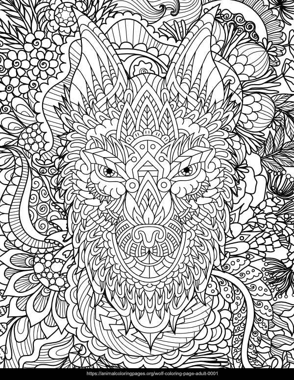 Adult wolf coloring sheet facing forward free