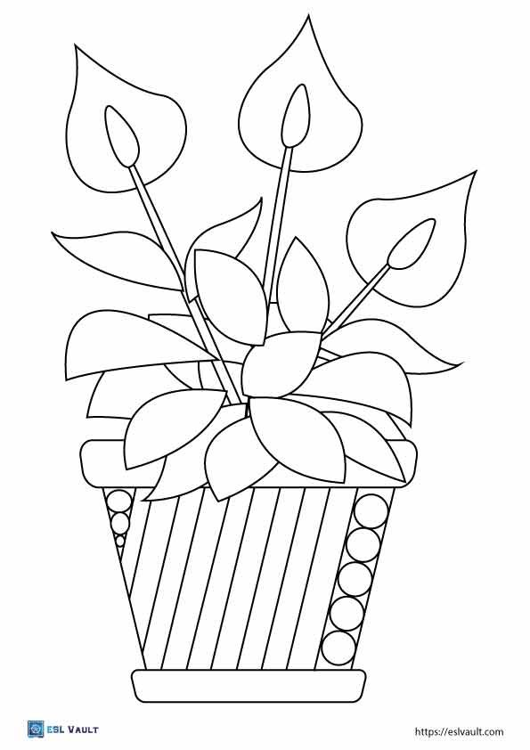 Free printable plant coloring pages