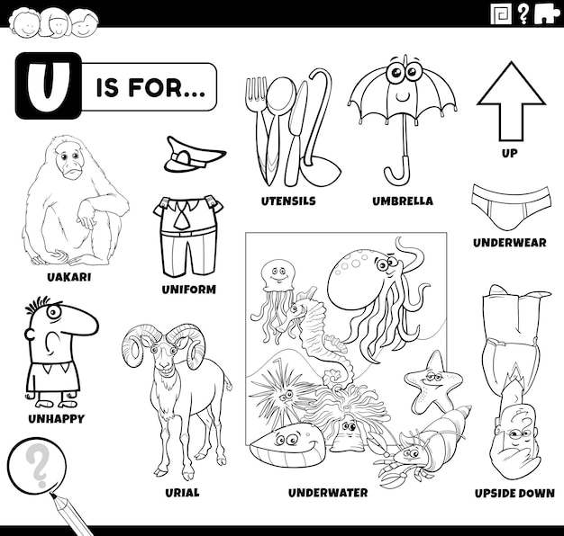 Premium vector letter u words educational set coloring book page