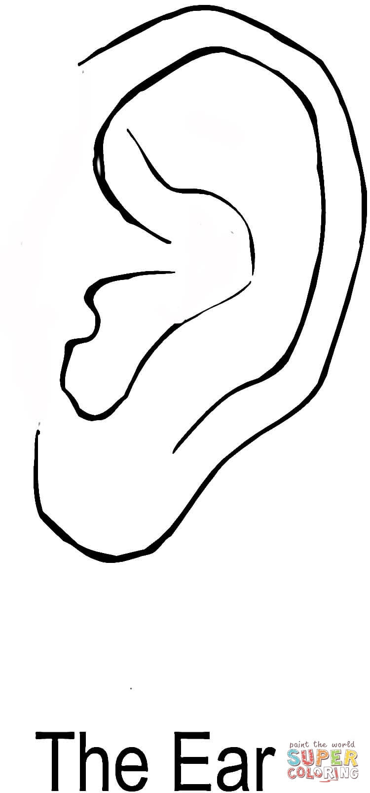 The ear coloring page free printable coloring pages
