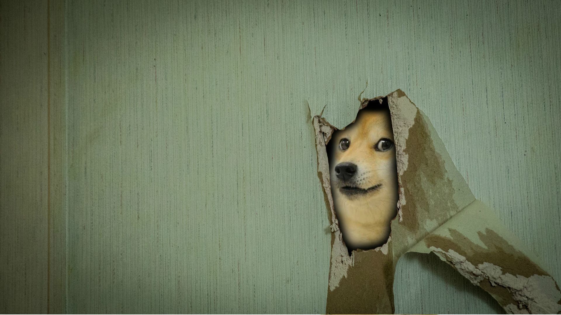 Doge digital wallpaper doge memes p wallpaper hdwallpaper desktop doge digital wallpaper wallpaper