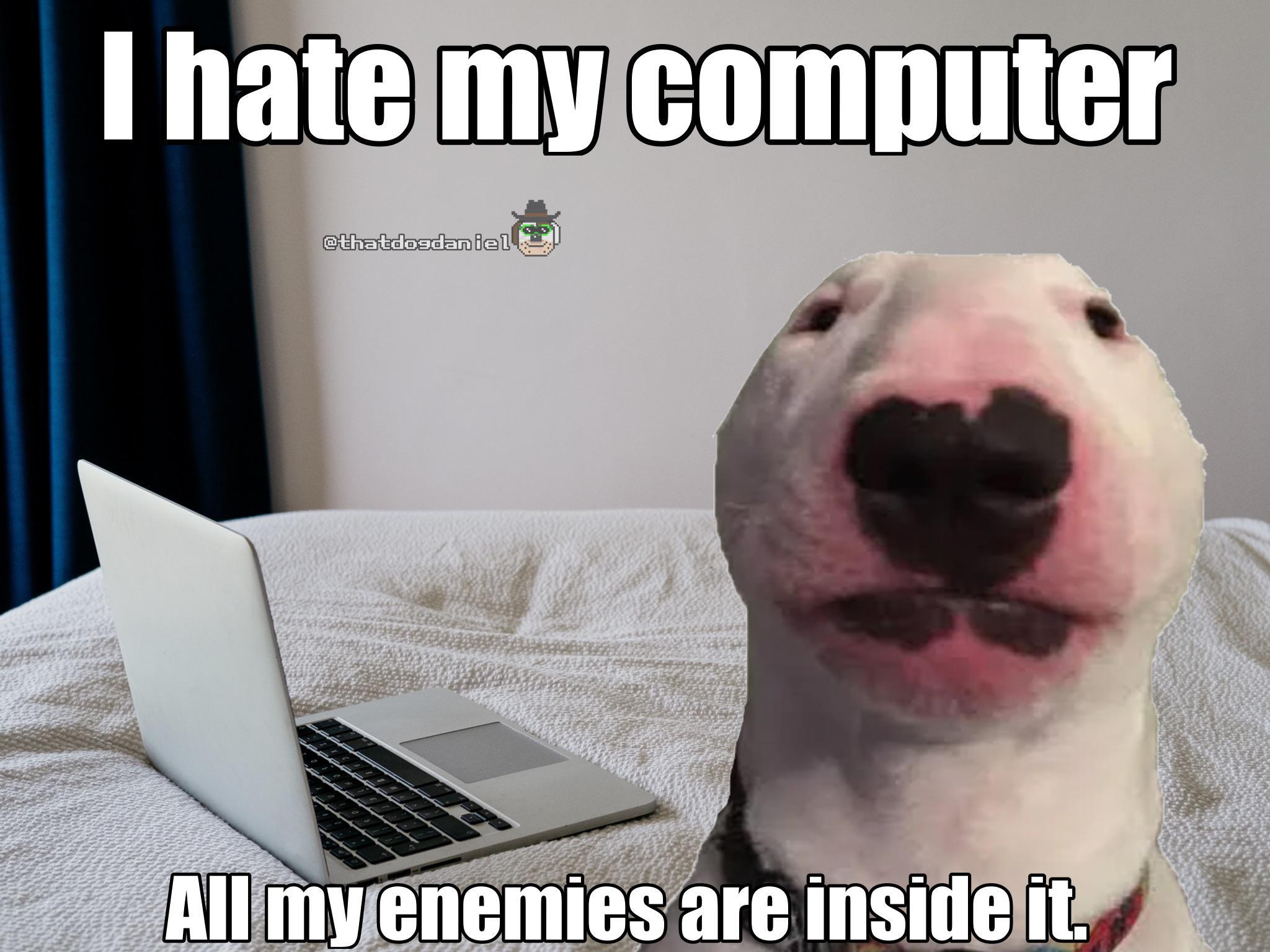 Le very wholesome puter meme has arrived rdogelore ironic doge memes know your meme