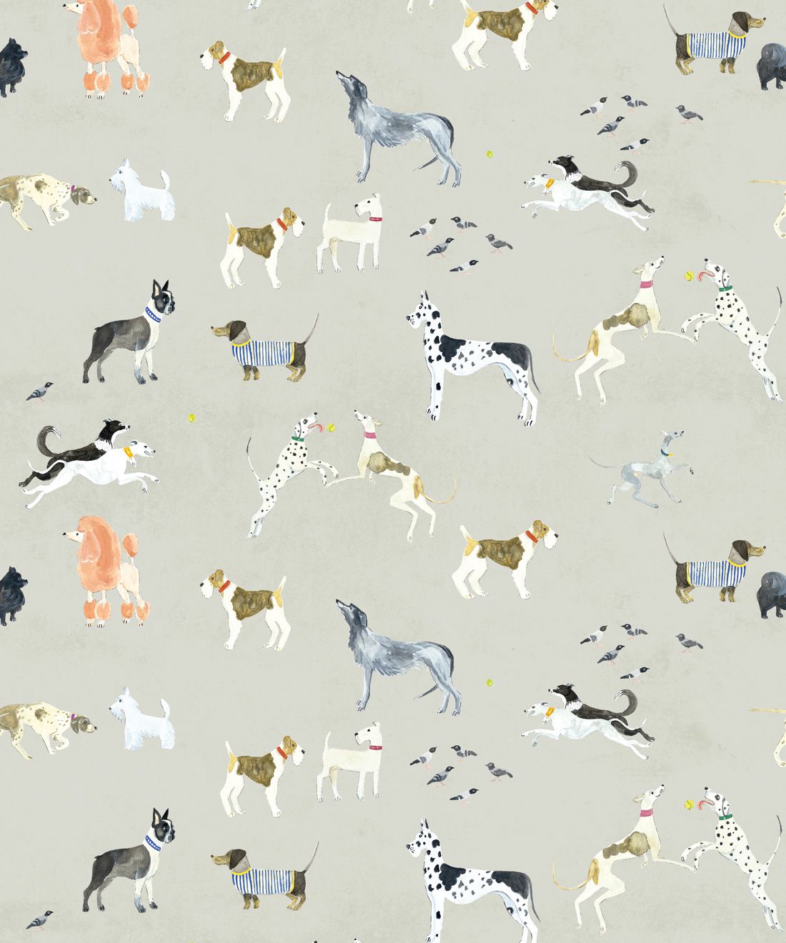 Doggies wallpaper â wallpaper for dog lovers â milton king